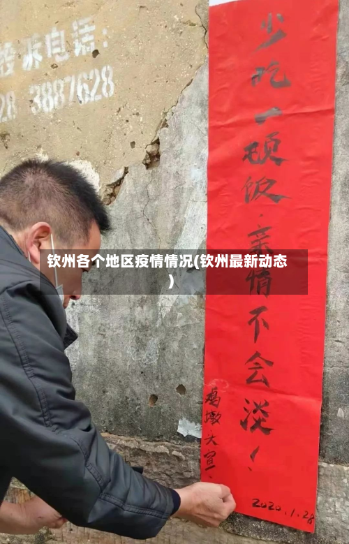 钦州各个地区疫情情况(钦州最新动态)
