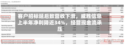 客户招标延后致营收下滑，威胜信息上半年净利降近34%，经营现金流承压-第3张图片