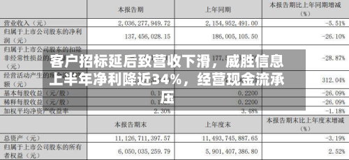 客户招标延后致营收下滑，威胜信息上半年净利降近34%	，经营现金流承压-第2张图片