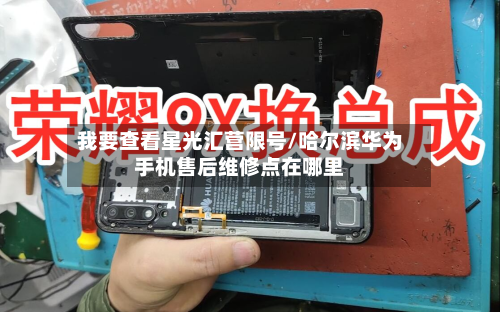 我要查看星光汇营限号/哈尔滨华为手机售后维修点在哪里-第3张图片