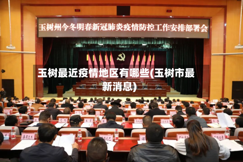 玉树最近疫情地区有哪些(玉树市最新消息)-第3张图片