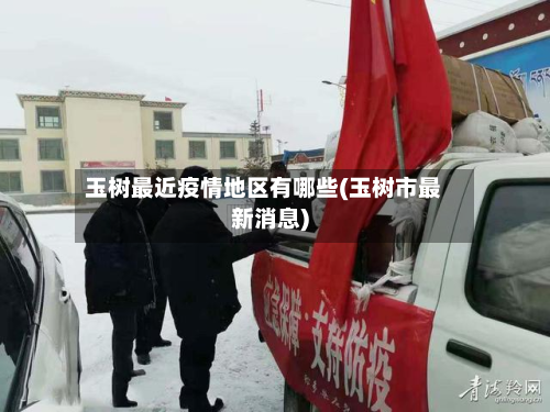 玉树最近疫情地区有哪些(玉树市最新消息)