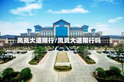 凤岚大道限行/凤岚大道限行吗-第2张图片