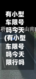 有小型车限号吗今天(有小型车限号吗今天限行吗)-第2张图片